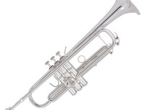 Blasinstrument